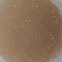 <a href=/shicai/guopin/MangGuo/index.html target=_blank><u>芒果</u></a><a href=/shicai/mimian/XiMi/index.html target=_blank><u>西米</u></a>露的做法图解1