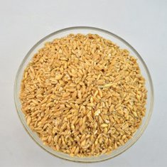 浮小麦和小麦的区别有哪些 浮小