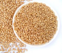 浮小麦是什么 浮小麦的食用方法 浮小麦的功效与作用
