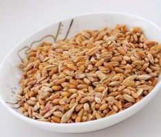 浮小麦的功效与作用 浮小麦的食