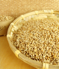 淮小麦的功效与作用 淮小麦对人