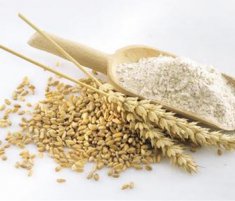 孕妇可以吃小麦吗 小麦的营养价