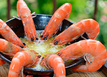 广州白灼虾的家常做法 健康快捷