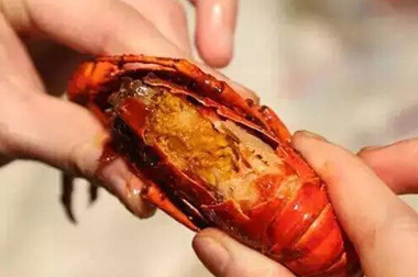 小龙虾怎么快速剥壳 小龙虾的剥法图解