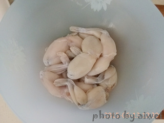 馋嘴蛙