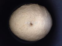 全麦<a href=/shicai/rouqin/RouSong/index.html target=_blank><u>肉松</u></a><a href=/shicai/mimian/MianBao/index.html target=_blank><u>面包</u></a>的做法步骤3