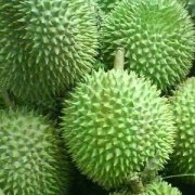 【榴莲壳怎么吃】榴莲壳煲鸡汤_
