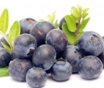 【蓝莓怎么吃】蓝莓的功效与作用