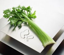 【芹菜的功效】芹菜的营养价值_芹菜的食用禁忌