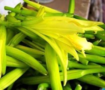 【新鲜黄花菜怎么处理】黄花菜的