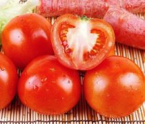 【西红柿减肥】西红柿减肥食谱_