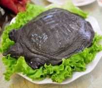 【喝甲鱼血能治阳痿吗】治阳痿的食物_治阳痿的穴位