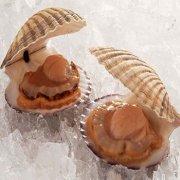 【河蚌的做法】河蚌的营养价值_河蚌怎么吃