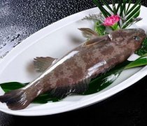 【石斑鱼的功效】石斑鱼的做法_
